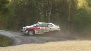 Pirelli Ralli 2015, Tampere (mistakes \u0026 action)