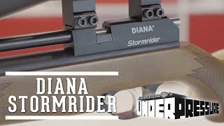 Diana Stormrider: A $200 PCP