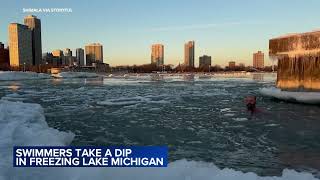 Swimmers Brave Chicago Cold in Lake Michigan