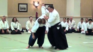 Bob Zimmermann - kaiten-nage