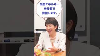 高市早苗 候補「救国の次世代エネルギー｜核融合発電を実現します」自民党総裁選｜政権公約