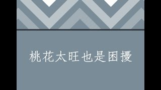 蔡添逸八字批命客戶實例1175堂:桃花太旺也是困擾