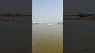 Natural one.... #green #thoothukudi #இயற்கை #ஆறு #River #பயிர் #இயற்கைவிவசாயம் #Bridge #பசுமை