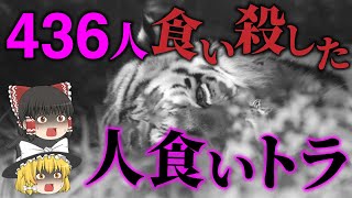 【ゆっくり解説】ギネスに乗るほど人を食ったトラ。軍もお手上げの史上最悪の獣害…「チャンパーワットの人食い虎」