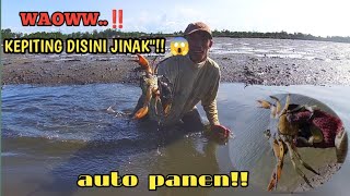 SURGANYA KEPITING.. ‼️Cari kepiting di waktu panen ikan bandeng