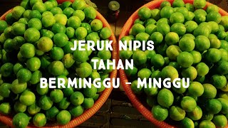 3 Cara Menyimpan Jeruk Nipis Tahan Berminggu - minggu  #jeruknipis #tutorialjeruk #tipshemat