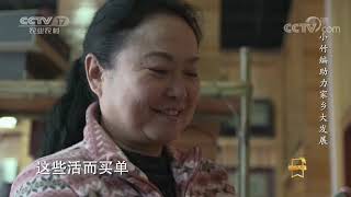 《遍地英雄》 20200519 小竹编助力家乡大发展——杨昌芹|CCTV农业