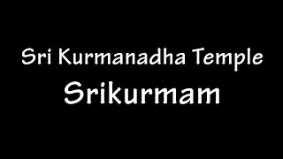 Sri Kurmanadha Temple - Srikurmam