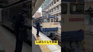 本線上での貨物列車停車から運転士交代の儀式#東海道本線 #貨物列車