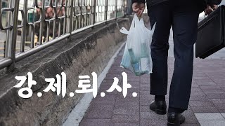 17년을 다닌 회사 하루아침에 해고된 남편 이야기/ 40대 퇴사 브이로그