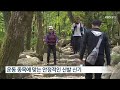 날씨와 생활 야외 활동량 증가…무릎 부상에 주의하세요 kbs 2023.10.13.