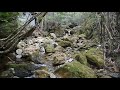 【一華総観】【音のみ】宇連ダムの鳳来湖