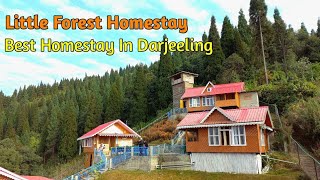 Little Forest Homestay || Best Homestay Near Darjeeling || Sukhiyapokhri || Offbeat North Bengal ||