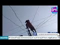 కరెంట్ తీగలపై పడుకున్న ఓ తాగుబోతు. drunker sleep on electric wires dishatv latestnews tv