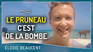 le PRUNEAU c'est de la BOMBE