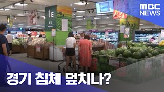 경기 침체 덮치나? (2022.07.13/뉴스데스크/MBC)