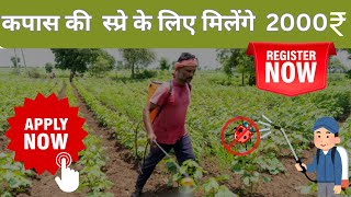 कपास की स्प्रे के मिलेंगे 2000 रुपये ll cotton spray scheme #haryana #farmerschemes