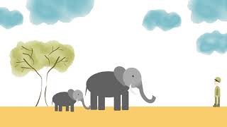 Natural Selection Animation Lana Young