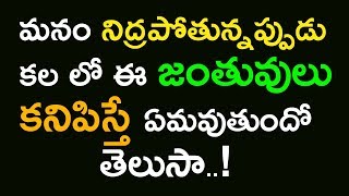 కలలో ఈ జంతువులు కనిపిస్తే ఏమవుతుందో తెలుసా? Reasons behind Animals In Dreams - PicsarTV