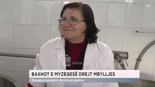 Baxhot e Myzeqesë drejt mbylljes #RTSH #baxho #Myzeqeja #Lushnje