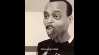 qabiilada somalida iyo qosoladooda , yaa ugu qosol xun   2016