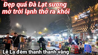 Đà Lạt đẹp ngỡ ngàng trời lạnh sương mờ thở ra khói. Lê la đêm khuya