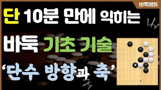 [바둑 입문 #5] 단 10분 만에 배우는 바둑의 기초 기술, 단수방향과 축!