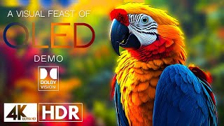 Breathtaking 4K HDR 60FPS: A Stunning Visual Experience (4K Video)