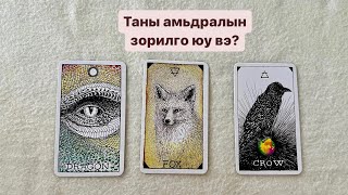 Таны амьдралын зорилго юу вэ? 💡⏰🎲 | Тimeless tarot reading 🔮