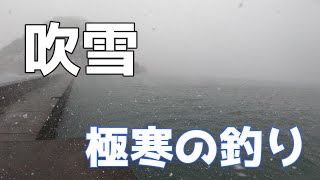 吹雪の中で釣りしても辛いだけだった　堤防ショアジギング