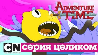 Время приключений | Ты меня заставил + Так тяжело легко (серия целиком) | Cartoon Network