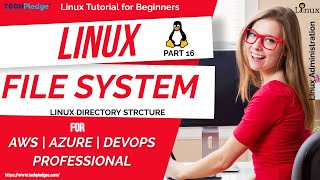 Linux File System Explained | Linux File System Overview | Linux Tutorial | Linux SysAdmin