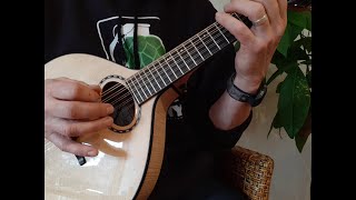 Nyberg Mini Cittern Demo