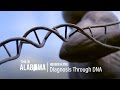 Hudson Alpha: Diagnosis Through DNA | This is Alabama