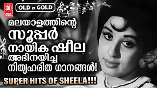 ഏറ്റവും കൂടുതൽ ചിത്രങ്ങളിൽ നായികയായ ഷീലയുടെ നിത്യസുന്ദര ഗാനങ്ങൾ  Evergreen Malayalam Film Songs