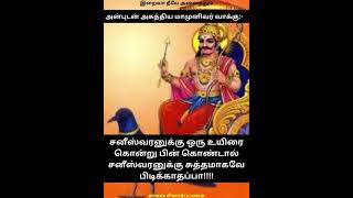 அன்புடன் அகத்தியர் மாமுனிவர் வாக்கு #tamil #agathiyar #agathiyan #அகத்தியர் #அகத்தியன் #சனி #saturn