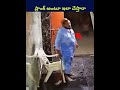 prank పేరుతో ఇలా చేయడం ఎంత కరెక్ట్ shorts ytshorts telugu humanity trending viralvideo