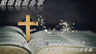 使徒行傳11:1-18