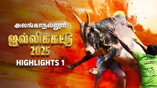 அவனியாபுரம் ஜல்லிக்கட்டு 2025 | Jallikattu 2025 | அலங்காநல்லூர் 1 | Tamil Nadu Festival @zeetamil