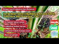 Perbedaan Budidaya Kelapa Sawit Antara Indonesia Dan Malaysia Part 1- Bahan Tanamnya