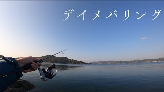 天国のように穏やかな瀬戸内海でデイメバリング