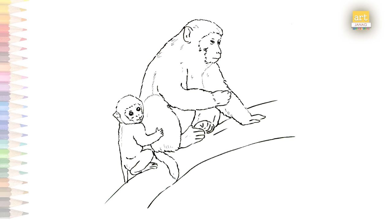 Baby Monkey Mother Monkey Drawing How To Draw A Monkey With Baby