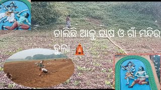 ଆଳୁ ଚାଷ ଗାଁ ମନ୍ଦିର ବୁଲା ଓ ଦିଶାର ମସ୍ତି 🤘🤘🤘##kanhu bhagirathi vlogs