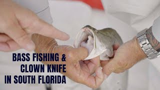 Catching Fresh Water EXOTICS with South Florida Bass Charters! Clown Knife, Peacocks and More!