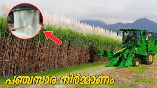 Sugar Factory | ഫാക്ടറിയിൽ പഞ്ചസാര നിർമിക്കുന്നത് കാണാം | Infact Malayalam