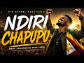 NDIRI CHAPUPU 🔥 Zimbabwean Gospel Dancehall Anthem | Healing Shona Worship