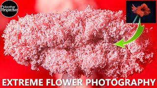 EXTREME Flower Photography