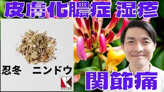 【漢方】忍冬（ニンドウ）１分で分かる生薬解説