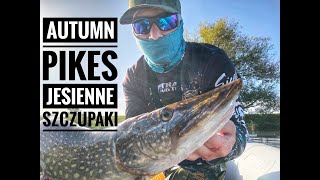 FIRST AUTUMN PIKES // PIERWSZE JESIENNE SZCZUPAKI