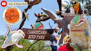 Bird Park Chandigarh , Near Sukhna Lake Or Rock Garden || Best Place to Visit In Chandigarh